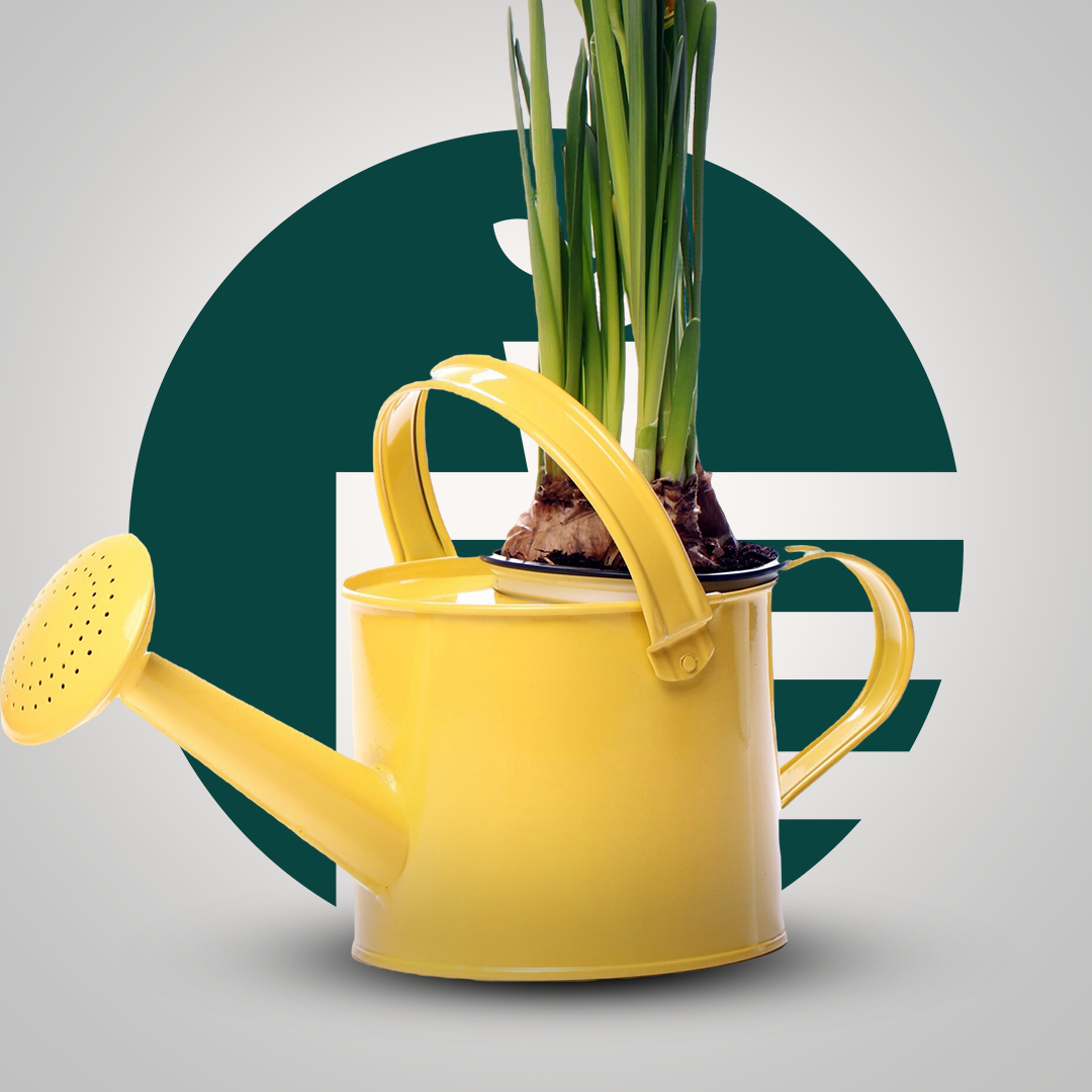 Área Externa & Jardim